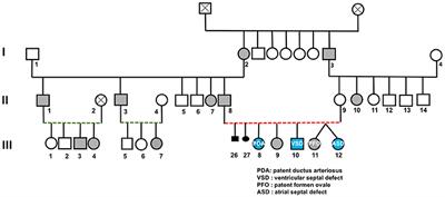 A Novel Role for CSRP1 in a Lebanese Family with Congenital Cardiac Defects